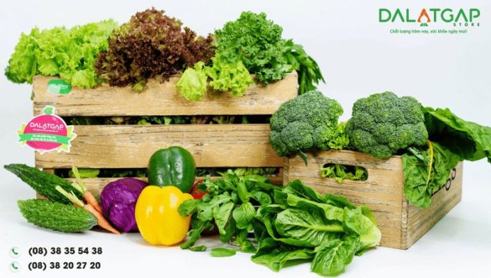Top 5 cửa hàng thực phẩm sạch TPHCM uy tín nhất