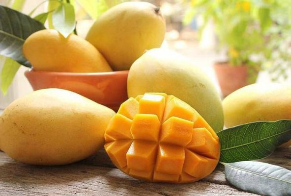Ăn xoài có tốt không? Những lợi ích không ngờ của xoài đối với sức khỏe con người