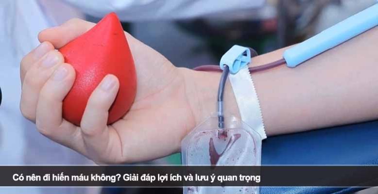 Có nên đi hiến máu không? Giải đáp lợi ích và lưu ý quan trọng
