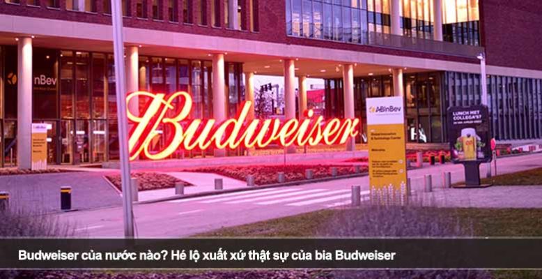 Budweiser của nước nào? Hé lộ xuất xứ thật sự của bia Budweiser