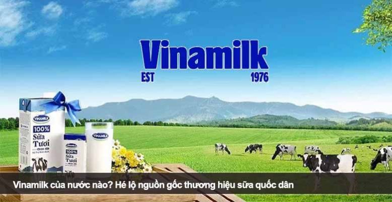 Vinamilk của nước nào? Hé lộ nguồn gốc thương hiệu sữa quốc dân