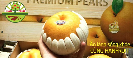 Top 5 cửa hàng trái cây tươi TPHCM được ưa chuộng nhất