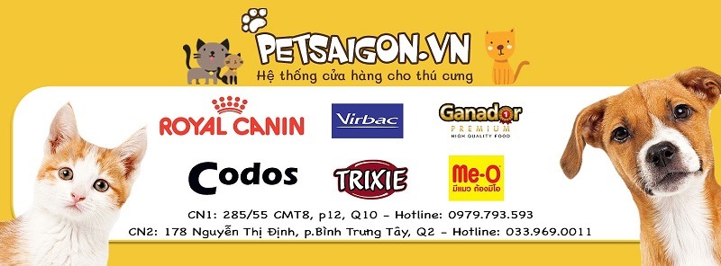 Top 5 cửa hàng pet shop TPHCM uy tín chất lượng nhất