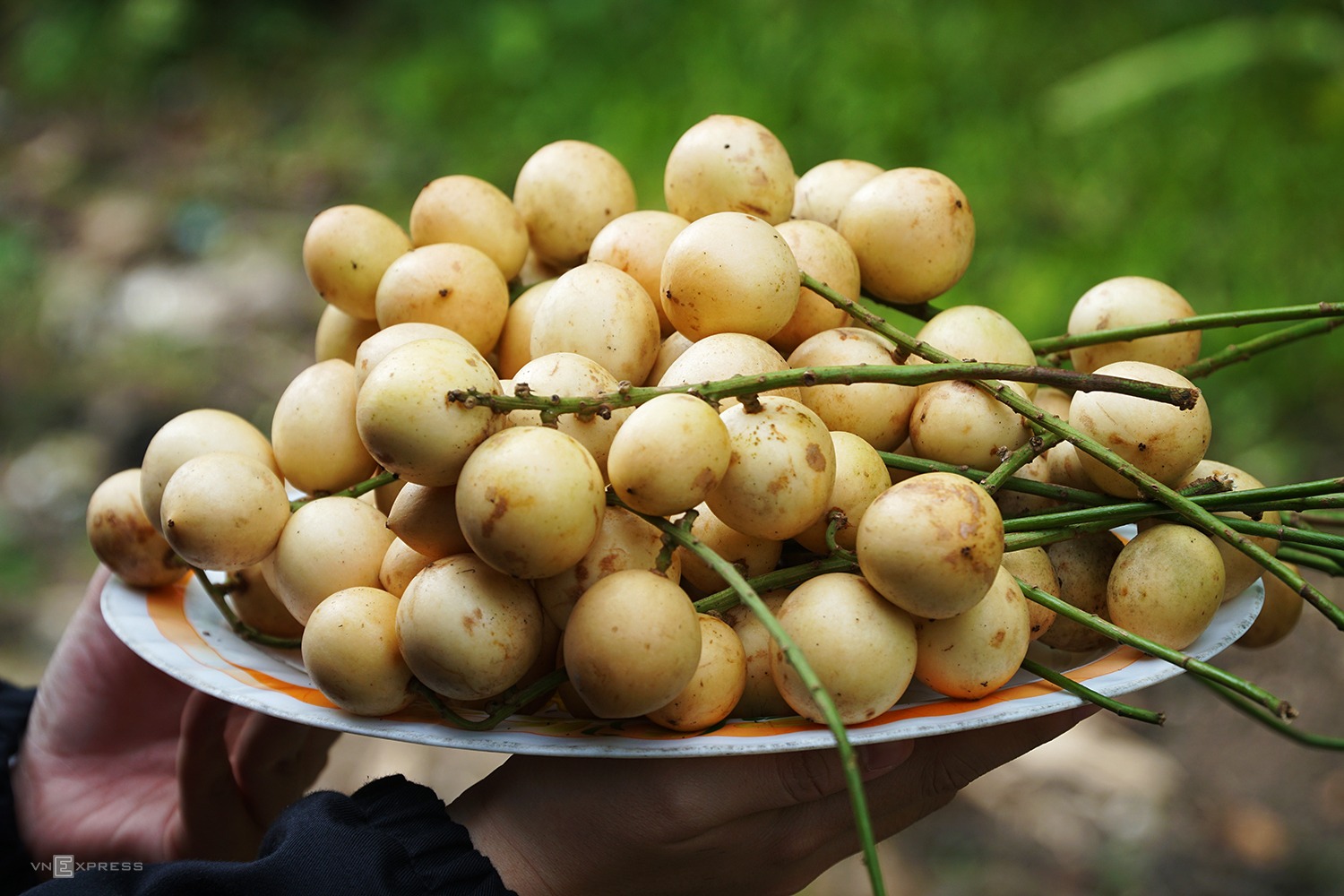 Top 10 địa điểm du lịch khó chối từ ở Miền Tây