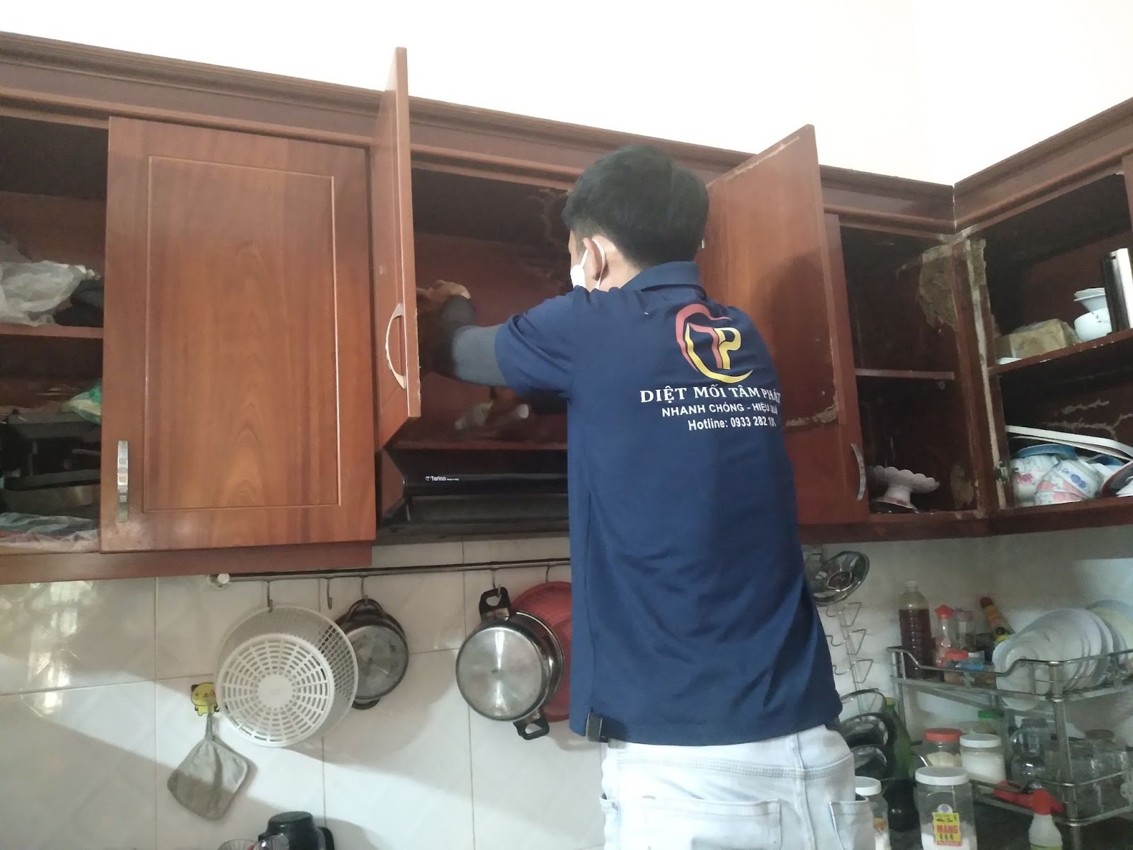 Cách Đuổi Mối Ra Khỏi Nhà Hiệu Quả Nhất