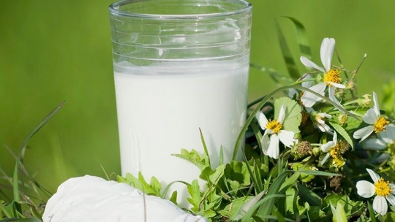 Giải đáp thắc mắc nên uống bột sắn dây lúc nào là tốt nhất?