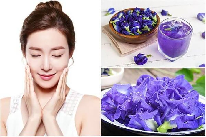 Thời điểm uống hoa đậu biếc lúc nào là tốt nhất trong ngày