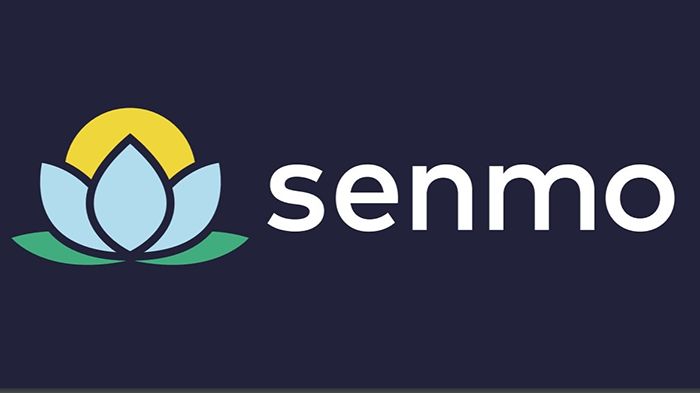 Senmo là gì? Đặc điểm của dịch vụ vay tiền online Senmo