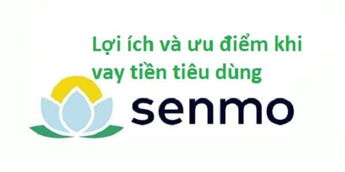 Senmo là gì? Đặc điểm của dịch vụ vay tiền online Senmo
