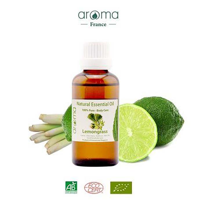 Mách Bạn Top Các Địa Chỉ Bán Dầu Massage Đà Nẵng Uy Tín, Chất Lượng