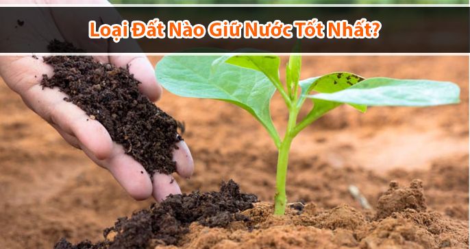 Đất nào giữ nước tốt nhất trong 3 loại: đất sét, đất thịt, đất cát?