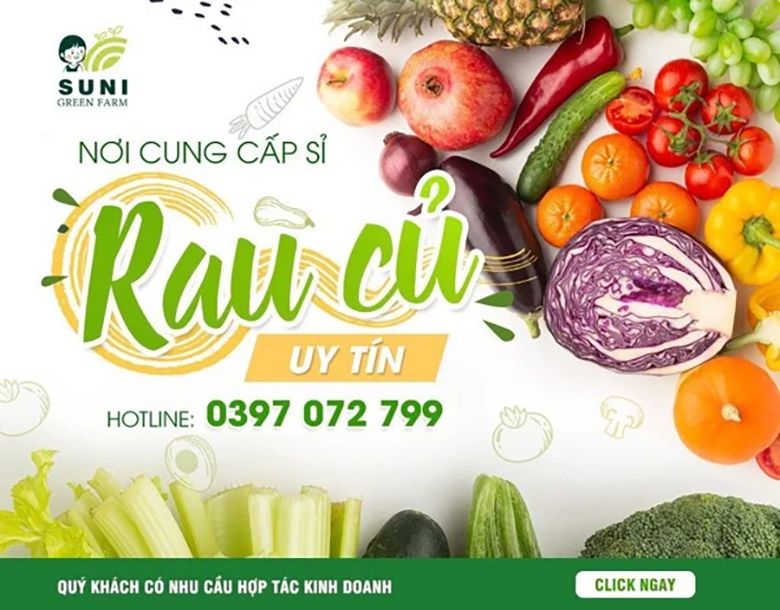 Những lưu ý khi lựa chọn nguồn nhập rau sạch bạn nên biết