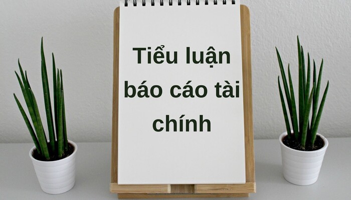 Top 10 Bài Mẫu Tiểu Luận Báo Cáo Tài Chính Chọn Lọc Đạt Điểm Cao