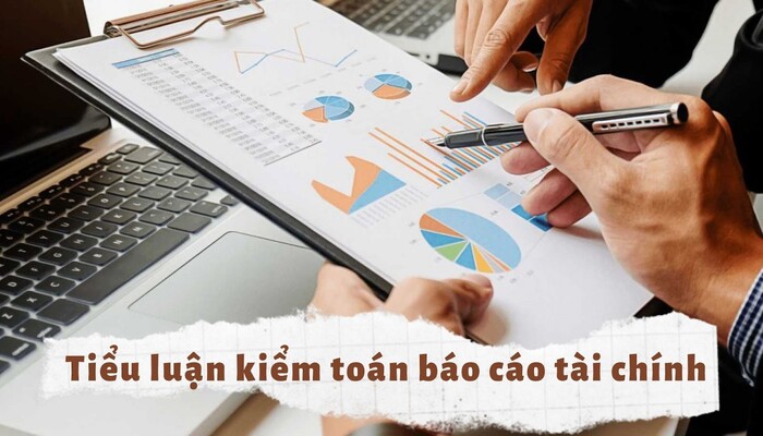 Top 10 Bài Mẫu Tiểu Luận Báo Cáo Tài Chính Chọn Lọc Đạt Điểm Cao