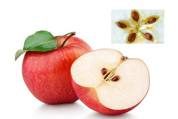 Ăn táo có tốt không? Một số lưu ý khi ăn táo mà bạn nên biết