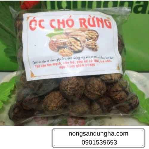 Giá trị dinh dưỡng và cách sử dụng hạt óc chó đúng cách