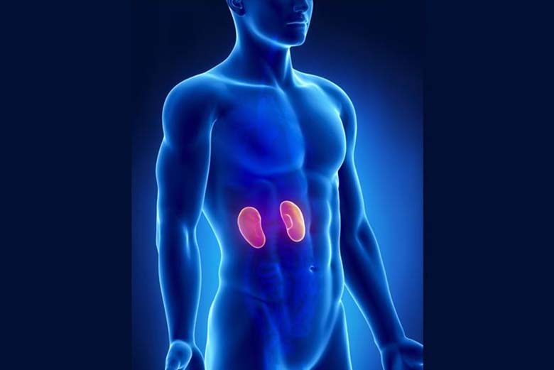 Những loại thuốc trị ung thư thận tốt và hiệu quả nhất