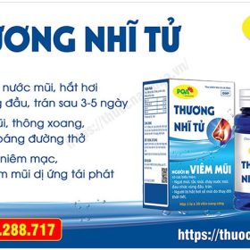 Đánh giá chi tiết PQA Thương Nhĩ Tử sản phẩm hỗ trợ điều trị viêm mũi dị ứng