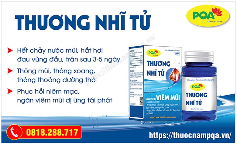 Đánh giá chi tiết PQA Thương Nhĩ Tử sản phẩm hỗ trợ điều trị viêm mũi dị ứng