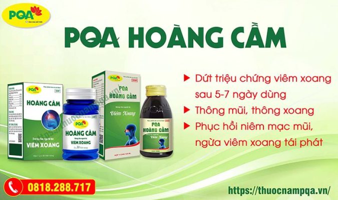 PQA Hoàng Cầm có tốt không? Mua ở đâu, giá bao nhiêu?