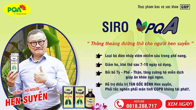 Top 5 sản phẩm chữa hen suyễn tốt nhất 2023