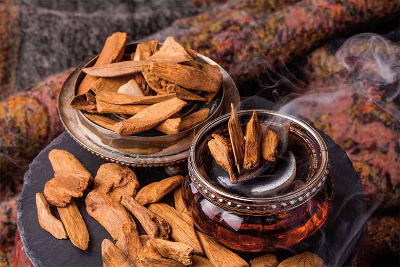 Top cơ sở bán trầm hương uy tín hiện nay: Nên mua trầm hương ở đâu để tránh rủi ro? 